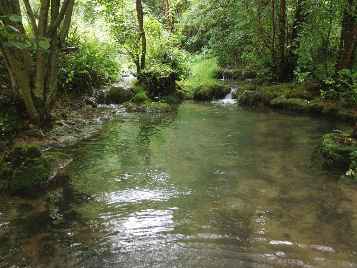 Moulin Bas, Pres De La Riviere Bed & Breakfast Carnac-Rouffiac Dış mekan fotoğraf